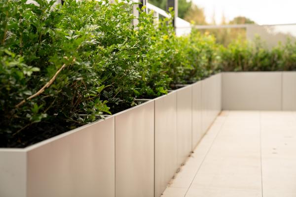 Planter boxes